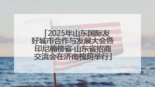 2025年山东国际友好城市合作与发展大会暨印尼楠榜省·山东省招商交流会在济南槐荫举行