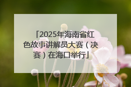 2025年海南省红色故事讲解员大赛（决赛）在海口举行