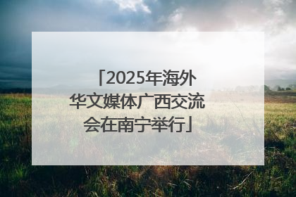 2025年海外华文媒体广西交流会在南宁举行