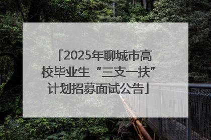 2025年聊城市高校毕业生“三支一扶”计划招募面试公告