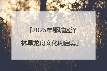 2025年鄂城区泽林旱龙舟文化周启幕