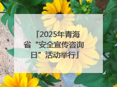 2025年青海省“安全宣传咨询日”活动举行