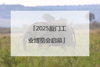 2025厦门工业博览会启幕