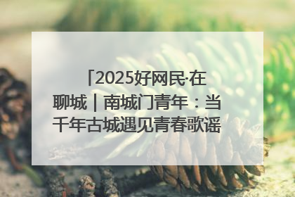 2025好网民·在聊城｜南城门青年：当千年古城遇见青春歌谣 一湖碧水见证的“聊城式浪漫”