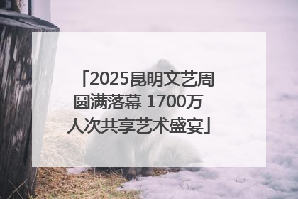2025昆明文艺周圆满落幕 1700万人次共享艺术盛宴