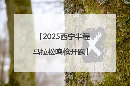 2025西宁半程马拉松鸣枪开跑
