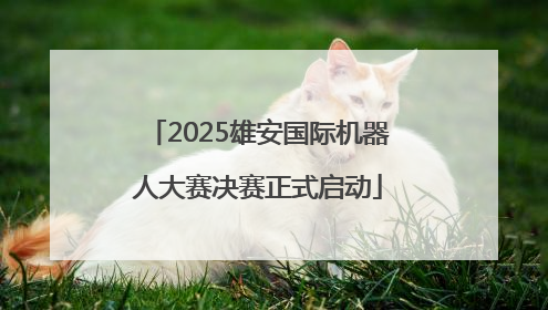 2025雄安国际机器人大赛决赛正式启动