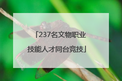 237名文物职业技能人才同台竞技