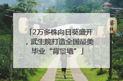 2万多株向日葵盛开，武生院打造全国最美毕业“背景墙”