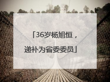 36岁杨旭恒，递补为省委委员