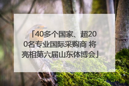 40多个国家、超200名专业国际采购商 将亮相第六届山东体博会