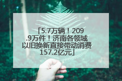 5.7万辆！209.9万件！济南各领域以旧换新直接带动消费157.2亿元