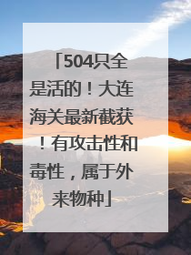 504只全是活的！大连海关最新截获！有攻击性和毒性，属于外来物种