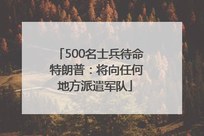 500名士兵待命 特朗普：将向任何地方派遣军队