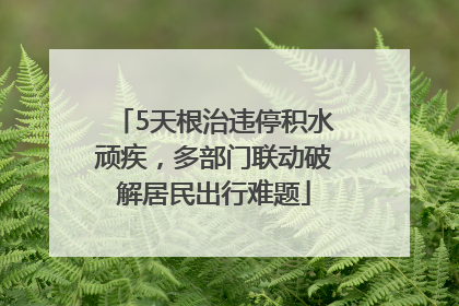 5天根治违停积水顽疾，多部门联动破解居民出行难题
