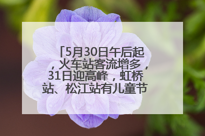 5月30日午后起，火车站客流增多，31日迎高峰，虹桥站、松江站有儿童节和端午亲子活动