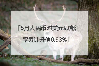 5月人民币对美元即期汇率累计升值0.93%