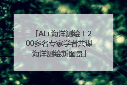 AI+海洋测绘！200多名专家学者共谋海洋测绘新图景