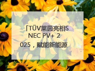 TÜV莱茵亮相SNEC PV+ 2025，赋能新能源产业高质量发展