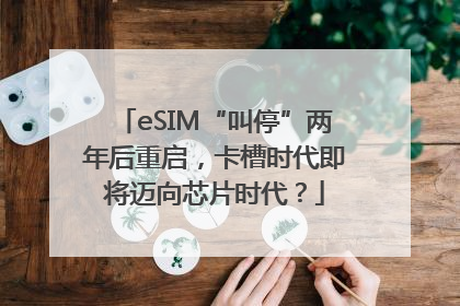 eSIM“叫停”两年后重启，卡槽时代即将迈向芯片时代？