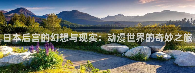 ova里番动画