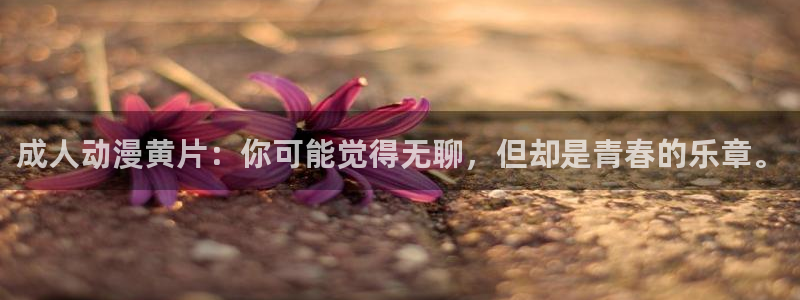 动漫里番经典