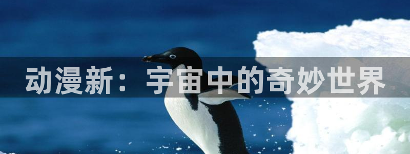 动漫里番大全：动漫新：宇宙中的奇妙世界