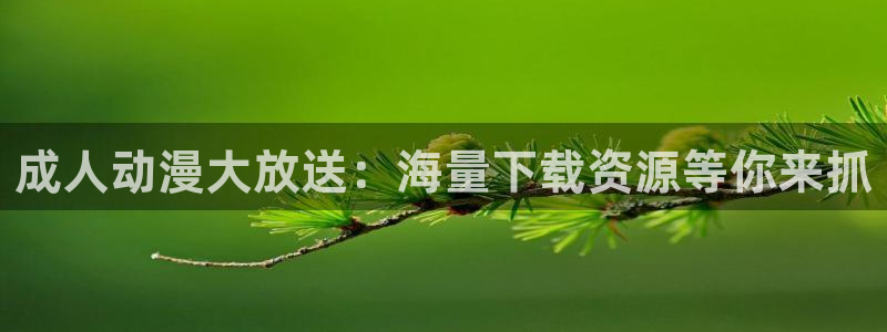 辣妹里番动漫：成人动漫大放送：海量下载资源等你来抓