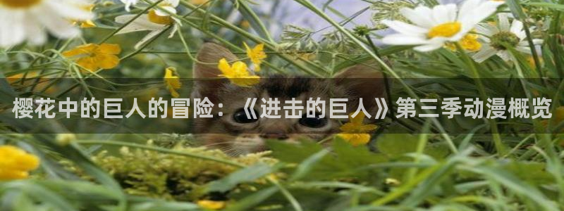 好看的里番动漫：樱花中的巨人的冒险：《进击的巨人》第三季动漫概览