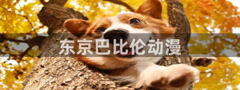 看里番动漫的网站