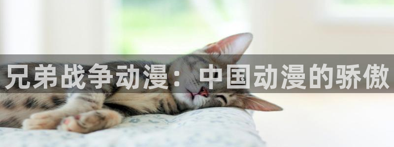 里番工口漫画在线：兄弟战争动漫：中国动漫的骄傲
