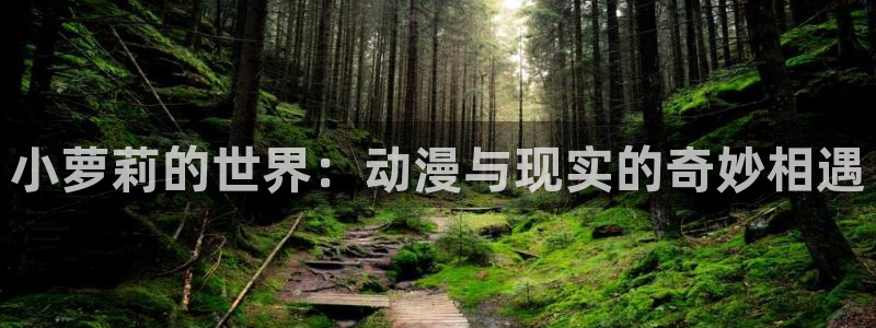 里番动漫第一页：小萝莉的世界：动漫与现实的奇妙相遇