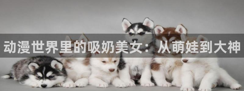 求里番动漫网站