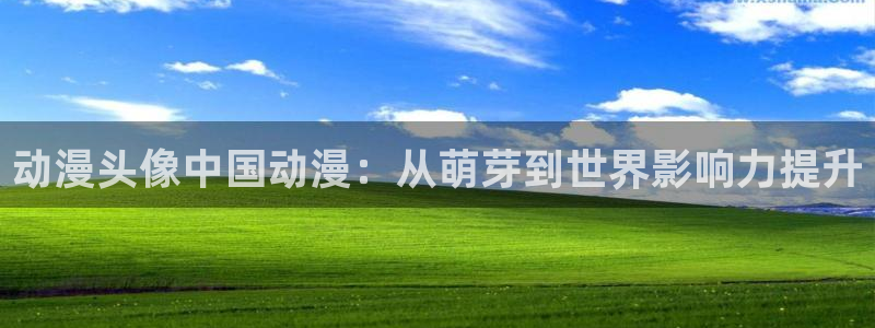 2016里番动漫种子：动漫头像中国动漫：从萌芽到世界影响力提升