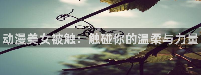里番动漫都有哪些：动漫美女被触：触碰你的温柔与力量