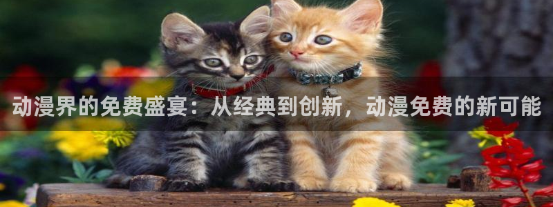 韩国里番动画：动漫界的免费盛宴：从经典到创新，动漫免费的新可能
