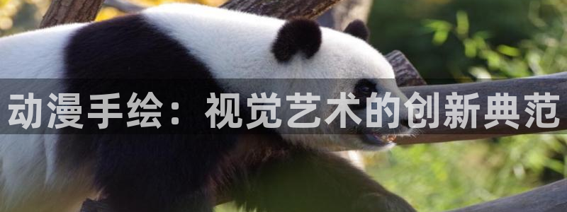 里番动漫在线观看网站：动漫手绘：视觉艺术的创新典范