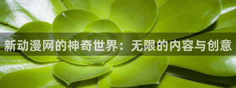 里番漫画在线观看免费：新动漫网的神奇世界：无限的内容与创意