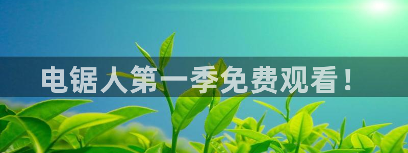 里番风车动漫：电锯人第一季免费观看！