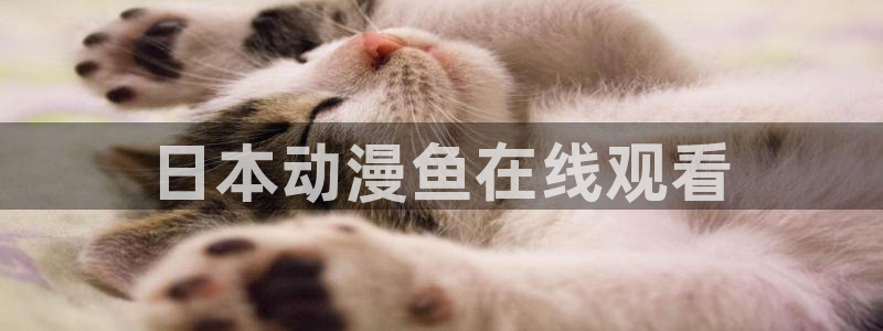 风车动漫里番：日本动漫鱼在线观看