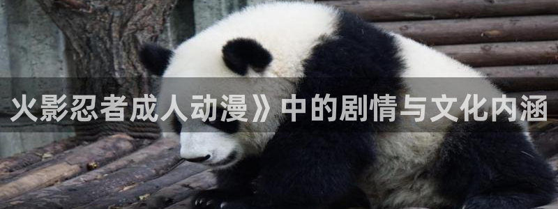 里番动画大全：火影忍者成人动漫》中的剧情与文化内涵