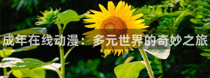里番动漫大全：成年在线动漫：多元世界的奇妙之旅