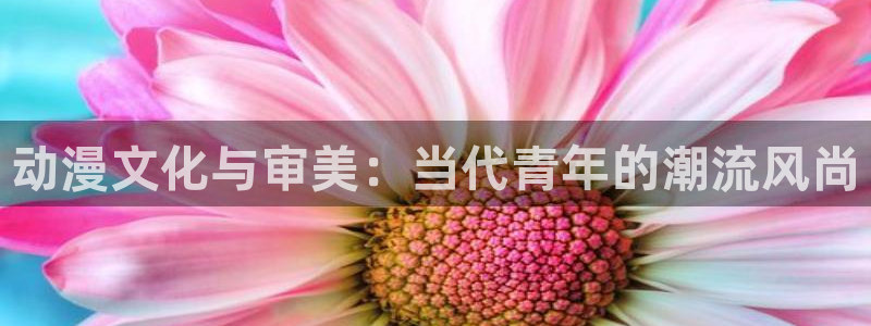 里番动画大全：动漫文化与审美：当代青年的潮流风尚