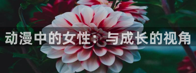里番动漫应用