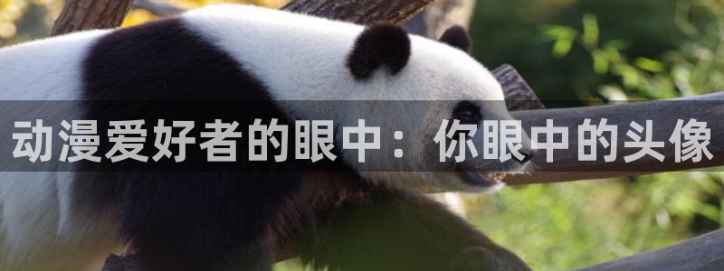 里番动漫片：动漫爱好者的眼中：你眼中的头像