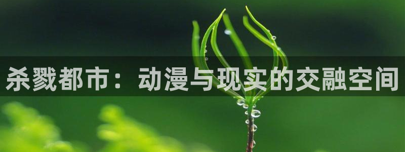 里番动：杀戮都市：动漫与现实的交融空间
