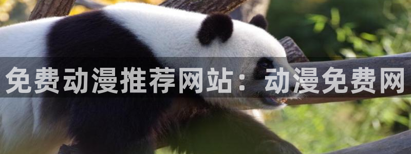 里番漫网
