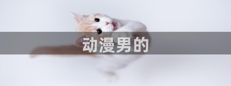 最新里番动漫在线