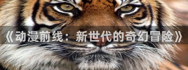 动漫里番去哪看：《动漫前线：新世代的奇幻冒险》
