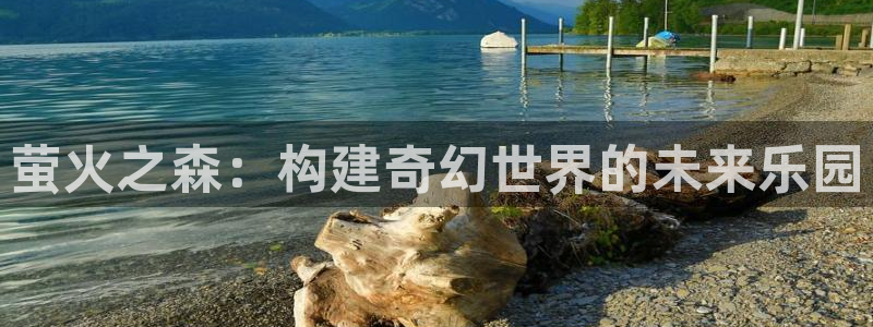 日本动漫旧里番：萤火之森：构建奇幻世界的未来乐园